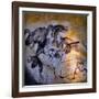 Painting in the Chauvet Cave, 32,000-30,000 Bc-null-Framed Giclee Print