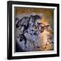 Painting in the Chauvet Cave, 32,000-30,000 Bc-null-Framed Giclee Print