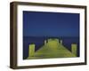 Painting in the Dark-Carli Choi-Framed Photographic Print