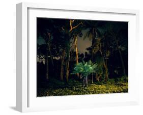 Painting in the Dark-Carli Choi-Framed Photographic Print