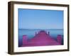 Painting in the Dark-Carli Choi-Framed Photographic Print