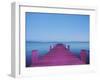 Painting in the Dark-Carli Choi-Framed Photographic Print