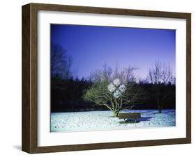 Painting in the Dark-Carli Choi-Framed Photographic Print