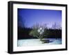 Painting in the Dark-Carli Choi-Framed Photographic Print