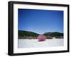 Painting in the Dark-Carli Choi-Framed Photographic Print