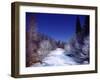 Painting in the Dark-Carli Choi-Framed Photographic Print