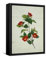 Painting- Japanese Camellia , 19th Century-null-Framed Stretched Canvas