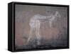 Painting of a Kangaroo at Nourlangie Rock, Australia-Robert Francis-Framed Stretched Canvas