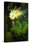 Painting of Beautiful White Lotus Blossom,Single Waterlily Flower Blooming on Pond-Tithi Luadthong-Stretched Canvas