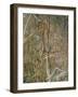 Painting of Dancing Figures at Nourlangie Rock, Australia-Robert Francis-Framed Photographic Print