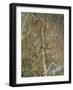 Painting of Dancing Figures at Nourlangie Rock, Australia-Robert Francis-Framed Photographic Print