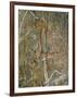 Painting of Dancing Figures at Nourlangie Rock, Australia-Robert Francis-Framed Photographic Print