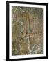 Painting of Dancing Figures at Nourlangie Rock, Australia-Robert Francis-Framed Photographic Print