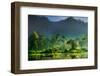 Painting of Nature-Hardibudi-Framed Premium Photographic Print