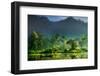 Painting of Nature-Hardibudi-Framed Premium Photographic Print