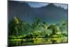 Painting of Nature-Hardibudi-Mounted Photographic Print