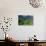 Painting of Nature-Hardibudi-Photographic Print displayed on a wall