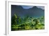 Painting of Nature-Hardibudi-Framed Photographic Print