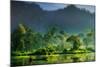 Painting of Nature-Hardibudi-Mounted Photographic Print