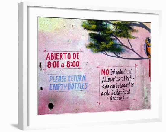 Painting of Parrot in Tree, Puerto Vallarta, Mexico-Nancy & Steve Ross-Framed Photographic Print