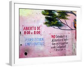 Painting of Parrot in Tree, Puerto Vallarta, Mexico-Nancy & Steve Ross-Framed Photographic Print