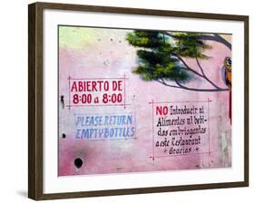 Painting of Parrot in Tree, Puerto Vallarta, Mexico-Nancy & Steve Ross-Framed Photographic Print