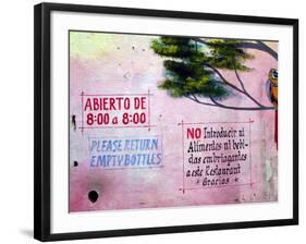 Painting of Parrot in Tree, Puerto Vallarta, Mexico-Nancy & Steve Ross-Framed Photographic Print