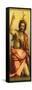 Painting of St John the Baptist-Andrea del Sarto-Framed Stretched Canvas
