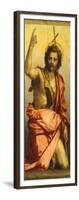 Painting of St John the Baptist-Andrea del Sarto-Framed Giclee Print