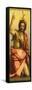 Painting of St John the Baptist-Andrea del Sarto-Framed Stretched Canvas