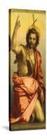 Painting of St John the Baptist-Andrea del Sarto-Stretched Canvas