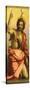 Painting of St John the Baptist-Andrea del Sarto-Stretched Canvas