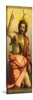 Painting of St John the Baptist-Andrea del Sarto-Stretched Canvas
