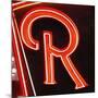 Painting Of The Letters R-Ross Studio-Mounted Art Print