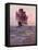 Painting of the Mayflower, Ship That Carried Pilgrims from England to New England Shore of America-null-Framed Stretched Canvas