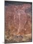 Painting of Turtle at the Aboriginal Rock Art Site at Obirr Rock in Kakadu National Park-Robert Francis-Mounted Photographic Print