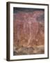 Painting of Turtle at the Aboriginal Rock Art Site at Obirr Rock in Kakadu National Park-Robert Francis-Framed Photographic Print