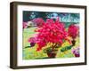 Painting Oil Color Landscape Original Colorful of Paper Flower Tree and Emotion at the Garden in Th-Tanom Kongchan-Framed Art Print