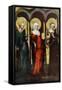 Painting on the Reverse of the Trebon Altarpiece, C1380-null-Framed Stretched Canvas