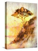 Painting Sunset, Sea and Tree, Wallpaper Landscape, Color Collage. and Abstract Grunge Background W-Jozef Klopacka-Stretched Canvas