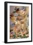 Painting the Birds-Franz Dvorak-Framed Giclee Print