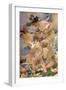 Painting the Birds-Franz Dvorak-Framed Giclee Print