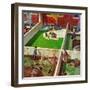 "Painting the Patio Green", May 2, 1953-Thornton Utz-Framed Premium Giclee Print