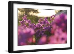 Painting With Pink-Incredi-Framed Giclee Print