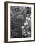 Paintings and Details on the Ceiling of the President's Room in the US Capitol Building-Margaret Bourke-White-Framed Photographic Print