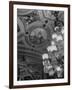 Paintings and Details on the Ceiling of the President's Room in the US Capitol Building-Margaret Bourke-White-Framed Photographic Print