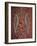 Paintings from the Dreamtime Including Two Birds, Australia, Pacific-Dominic Harcourt-webster-Framed Photographic Print