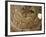 Paintings in Rock Cut Church, Ihlara Gorge, Cappadocia, Anatolia, Turkey, Eurasia-David Poole-Framed Photographic Print