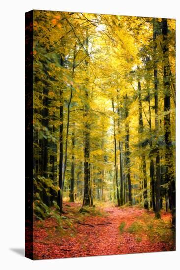 Paintography Wood-Philippe Sainte-Laudy-Stretched Canvas