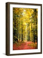 Paintography Wood-Philippe Sainte-Laudy-Framed Photographic Print